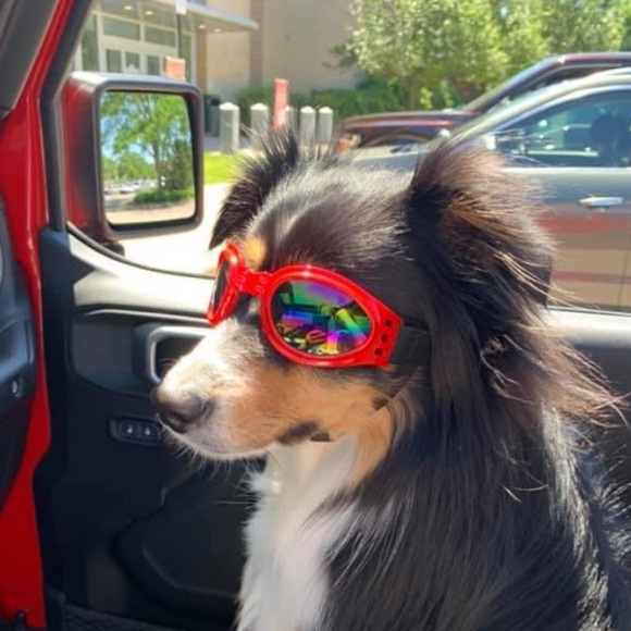 Meet your Posher, Debbie - Picture 1 of 1